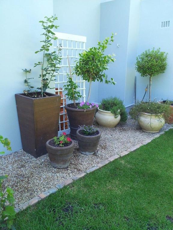 Oak Village B&B Stellenbosch Ngoại thất bức ảnh