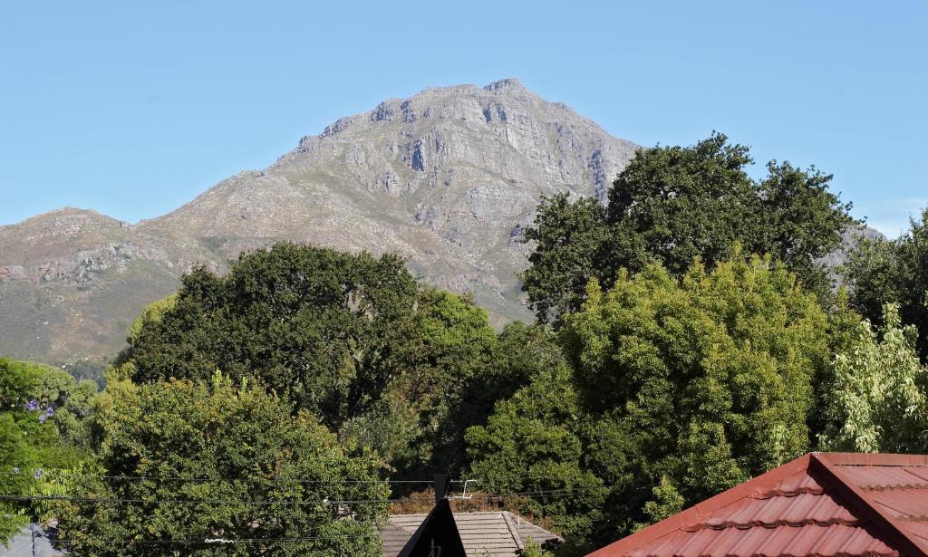 Oak Village B&B Stellenbosch Phòng bức ảnh